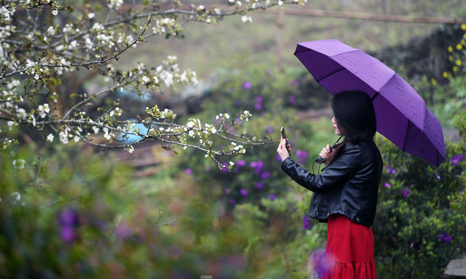 Lạc bước giữa vườn hoa lê đẹp như cổ tích ở Na Hang, Tuyên Quang
