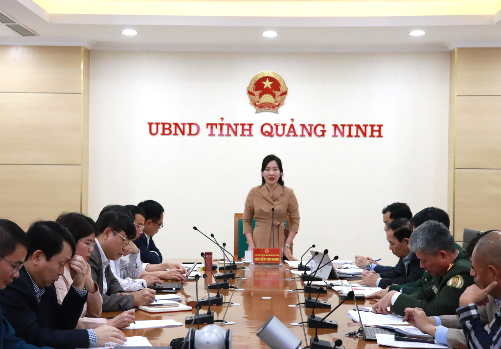 Phó Chủ tịch UBND tỉnh Nguyễn Thị Hạnh chủ trì cuộc họp. 