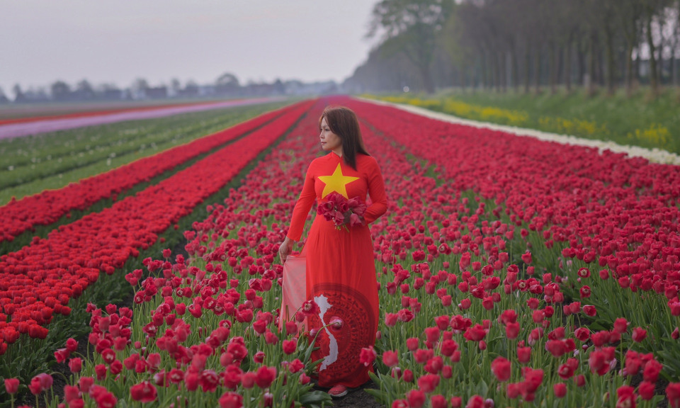 Mãn nhãn cánh đồng hoa tulip đẹp như cổ tích ở ngôi làng cổ 400 tuổi