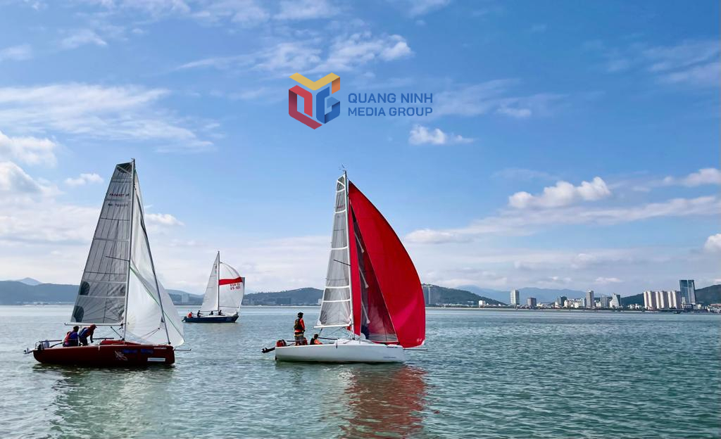 Diễu hành thuyền buồm thể thao là sản phẩm du lịch mới, hấp dẫn của TP Hạ Long dịp hè này.