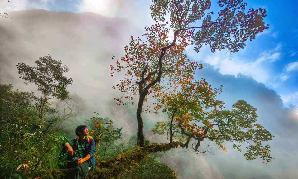 Săn mây, ngắm rừng phong thay lá trên đỉnh Ngũ Chỉ Sơn