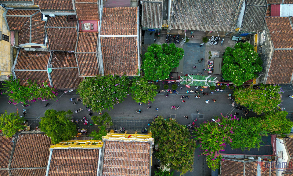 Cận cảnh con đường dài 1km ở Hội An vừa lọt top đẹp nhất thế giới