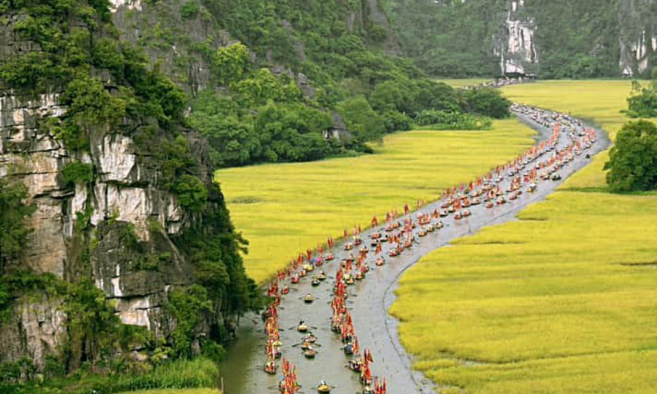 Một ngày về Tam Cốc ngắm lúa chín và mùa sen thơm ngát