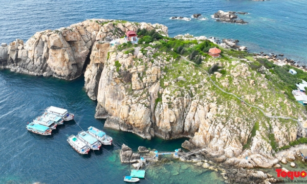 Khám phá đảo yến Hòn Nội giữa vịnh Nha Trang