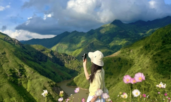 Thảo nguyên xanh mướt, mát lạnh, đẹp như Thụy Sĩ cách Hà Nội 250km