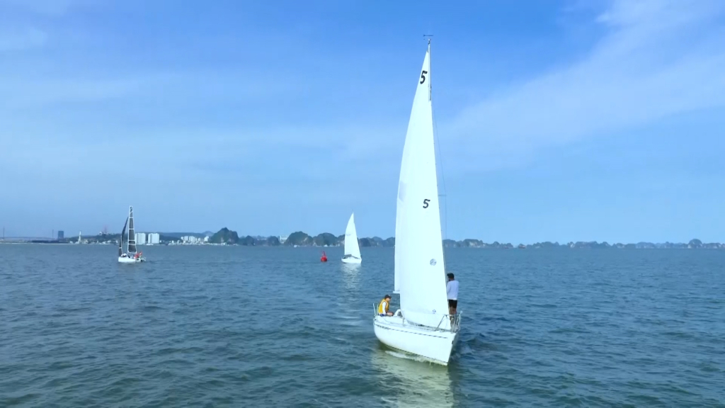 Lễ hội thuyền buồm, dù bay, motor nước