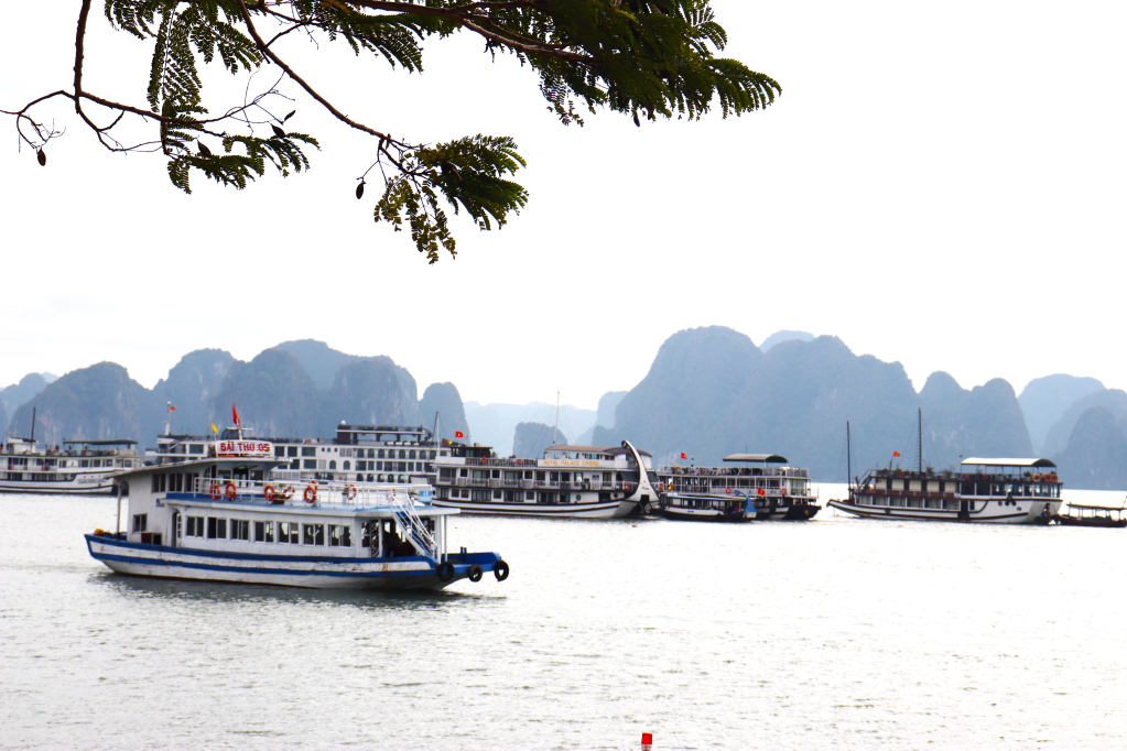 Tàu đưa khách tham quan Vịnh Hạ Long.