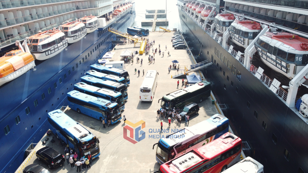 Các đơn vị lữ hành tấp nập đưa đón khách tàu biển đi tham quan những điểm đến nổi tiếng của Quảng Ninh.
