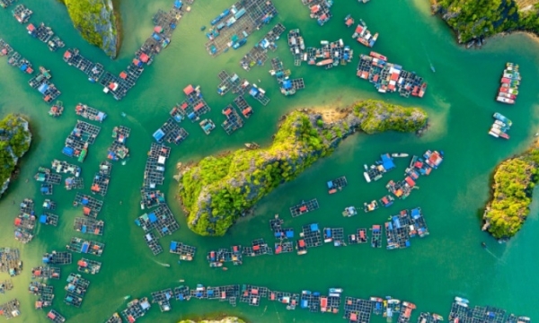 Đảo Cát Bà dự kiến thành bối cảnh quay phim ‘Liên Minh Huyền Thoại’