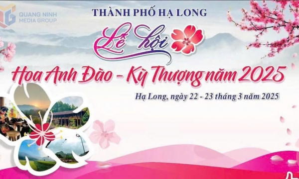 TP Hạ Long: Ngày 22-23/3/2025 sẽ diễn ra Lễ hội Hoa Anh đào – Kỳ Thượng năm 2025