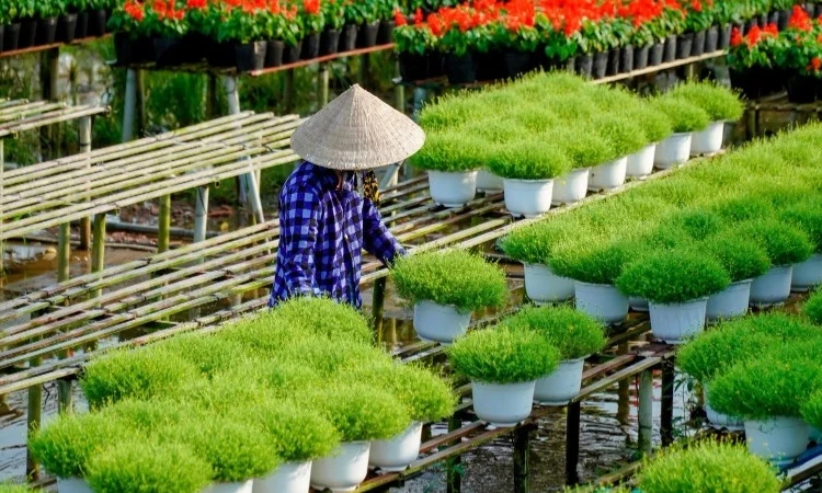 Du lịch gắn với nông thôn mới, nâng cao thu nhập người dân