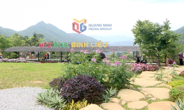 Bình Liêu: Sẵn sàng cao điểm du lịch hè