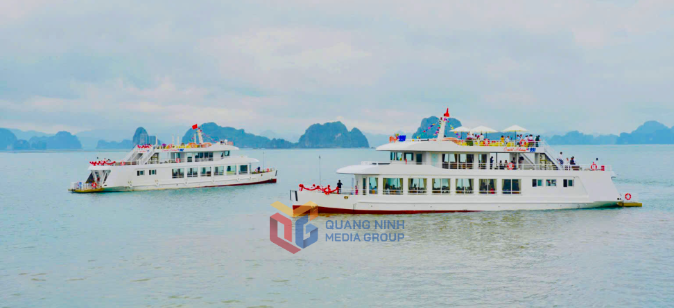 Đội tàu du lịch tham quan Vịnh Bái Tử Long được đầu tư hiện đại.
