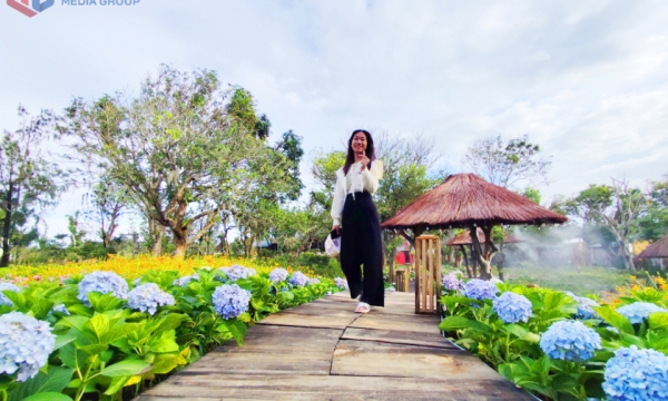 Khám phá thiên đường hoa bên biển Hồng Vàn