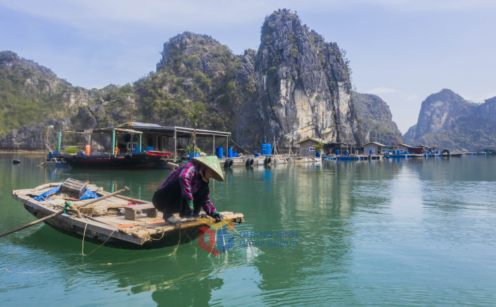 Bình yên cảnh người dân kéo lưới