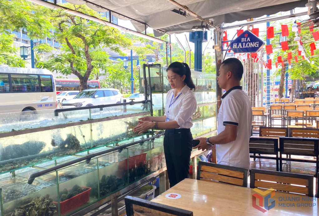 Cán bộ phòng Văn hóa-Xã hội phường Bãi Cháy hướng dẫn chủ cơ sở kinh doanh niêm yết giá công khai.